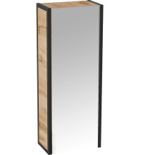 Пенал зеркальный GRUNGE LOFT 35П 1д